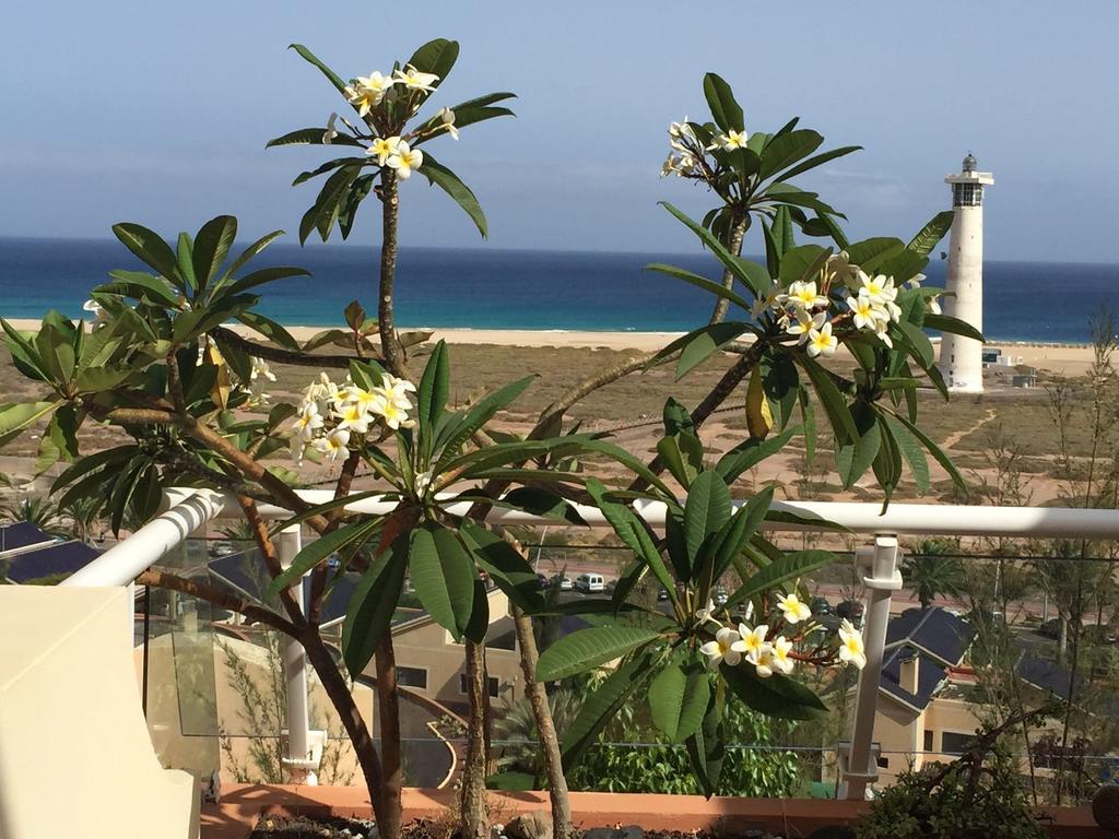 Terrazas De Jandia Daire Morro Jable  Dış mekan fotoğraf